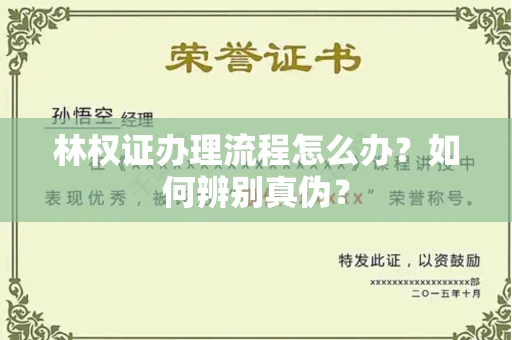 南昌林权证办理流程怎么办?如何辨别真伪?