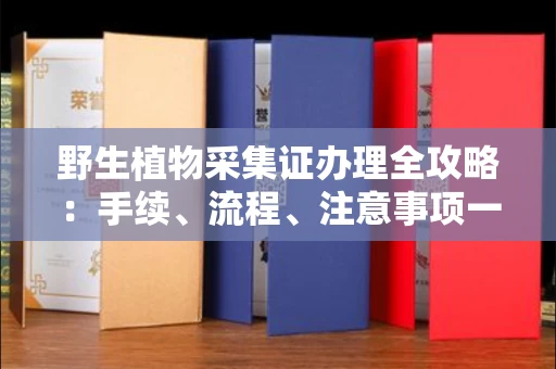 南昌野生植物采集证办理全攻略：手续、流程、注意事项一网打尽